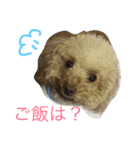 pretty dog ruru2（個別スタンプ：1）