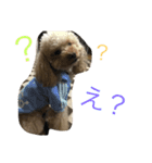pretty dog ruru2（個別スタンプ：3）