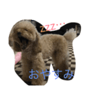 pretty dog ruru2（個別スタンプ：4）