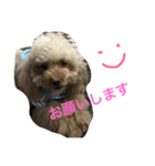 pretty dog ruru2（個別スタンプ：9）