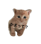 中谷fam（個別スタンプ：2）