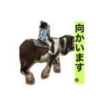 中谷fam（個別スタンプ：15）