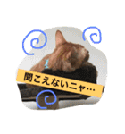 中谷fam（個別スタンプ：22）