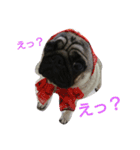 パグのうめ（個別スタンプ：14）