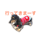 DAKS FACE 2（個別スタンプ：9）