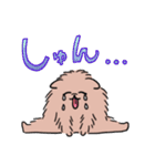 開脚ぽめらにあん（個別スタンプ：5）