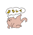 開脚ぽめらにあん（個別スタンプ：20）