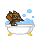 Carton Cat has a poker face（個別スタンプ：9）
