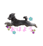 つぶちゃん専用スタンプ（個別スタンプ：6）
