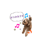 つぶちゃん専用スタンプ（個別スタンプ：13）
