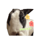 ひがわりマメ様（個別スタンプ：1）
