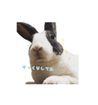 ひがわりマメ様（個別スタンプ：6）