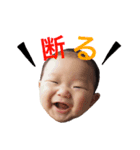 れんさんスタンプ（個別スタンプ：1）