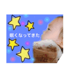 あいたーん（個別スタンプ：10）