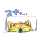 柴犬さんたち（個別スタンプ：15）