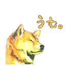 柴犬さんたち（個別スタンプ：19）