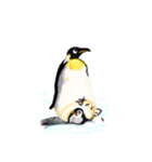 ペンギンなスタンプ（個別スタンプ：4）