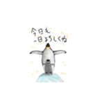 ペンギンなスタンプ（個別スタンプ：6）
