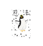 ペンギンなスタンプ（個別スタンプ：7）