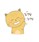 Molly Meow（個別スタンプ：8）