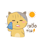 Molly Meow（個別スタンプ：13）