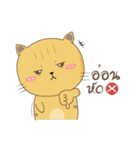 Molly Meow（個別スタンプ：21）