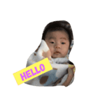 我が家のぜんくん（個別スタンプ：1）