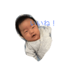 我が家のぜんくん（個別スタンプ：7）