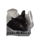ginji＆purine（個別スタンプ：1）