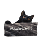 ginji＆purine（個別スタンプ：2）