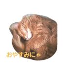 くるん.1（個別スタンプ：1）