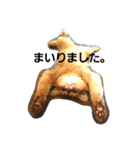 くるん.1（個別スタンプ：2）