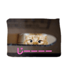 くるん.1（個別スタンプ：3）