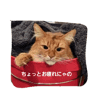 くるん.1（個別スタンプ：4）