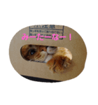 くるん.1（個別スタンプ：8）