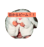 obakanausagisan（個別スタンプ：5）