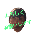 HJ9集合！（個別スタンプ：6）