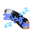 HJ9集合！（個別スタンプ：28）