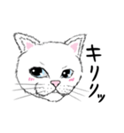 黙っていればわりかし美形の白猫です。（個別スタンプ：3）