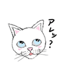 黙っていればわりかし美形の白猫です。（個別スタンプ：5）
