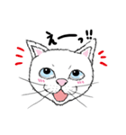 黙っていればわりかし美形の白猫です。（個別スタンプ：6）