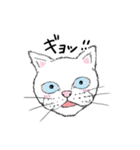 黙っていればわりかし美形の白猫です。（個別スタンプ：8）