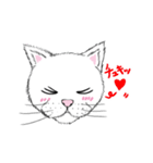 黙っていればわりかし美形の白猫です。（個別スタンプ：9）