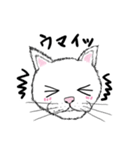 黙っていればわりかし美形の白猫です。（個別スタンプ：17）