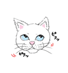 黙っていればわりかし美形の白猫です。（個別スタンプ：18）
