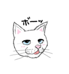 黙っていればわりかし美形の白猫です。（個別スタンプ：19）