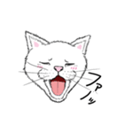 黙っていればわりかし美形の白猫です。（個別スタンプ：21）