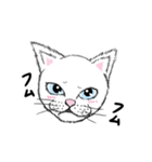 黙っていればわりかし美形の白猫です。（個別スタンプ：22）