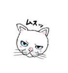 黙っていればわりかし美形の白猫です。（個別スタンプ：24）