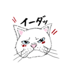 黙っていればわりかし美形の白猫です。（個別スタンプ：25）